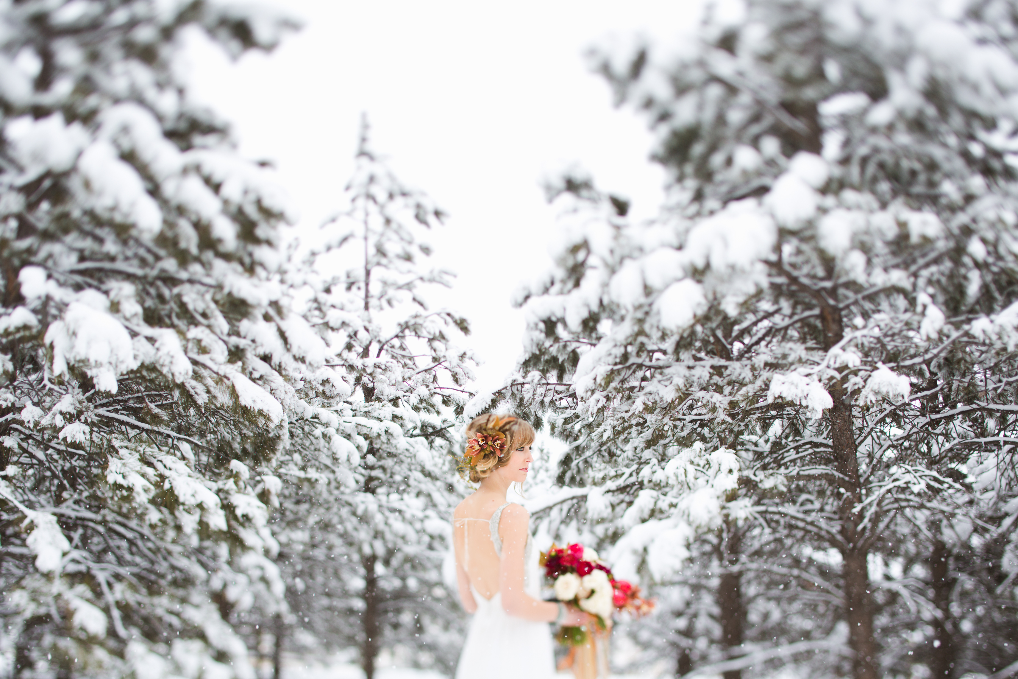ebjc-wintershoot-webpost-1a